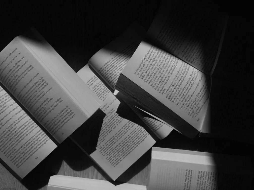 Co to jest literatura piękna?